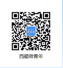 西藏成人高考成绩11月16日12时开始查询