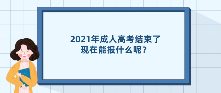 成人高考结束了，现在能报什么呢？